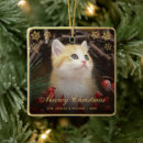 Pesquisar por gato feliz ornamentos Para pets