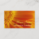 Pesquisar por surpresa cartao de visita Flor