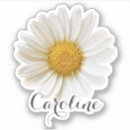 Pesquisar por floral macbook capas Qualquer pessoa