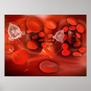 Pesquisar por vermelho sangue pôsteres pósteres Glóbulos vermelhos