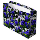 Pesquisar por saco do amor perfeito Pansies