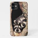 Pesquisar por bebês da floresta iphone capas Guaxinim