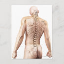 Pesquisar por medicina cartoes postais Arte