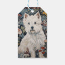 Pesquisar por planície etiquetas de presente Cães