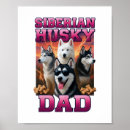Pesquisar por husky siberiano pôsteres pósteres Cão engraçado