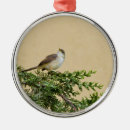 Pesquisar por pássaro verde ornamentos Vida selvagem