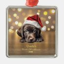 Pesquisar por labrador retriever ornamentos Fofo