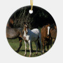 Pesquisar por cavalo mustang de natal decoração Equestre
