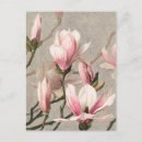 Pesquisar por botanical illustration cartoes postais Floral