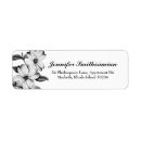 Pesquisar por bosque etiquetas endereco retorno Árvore