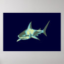 Pesquisar por shark pôsteres pósteres Qualquer pessoa