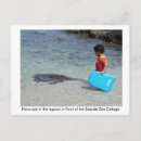 Pesquisar por honu cartoes postais Oceano