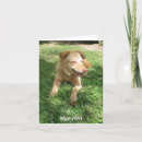 Pesquisar por precious cartoes Dog