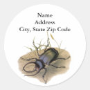 Pesquisar por besouros adesivos Para todos