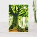 Pesquisar por moss cartoes Woods