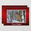 Pesquisar por snow convites Vida selvagem