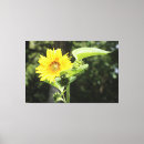 Pesquisar por sol girassol pôsteres pósteres impressão de canvas Flor