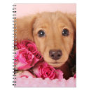 Pesquisar por filhote cachorro do dachshund de cadernos de notas Bonito
