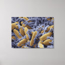 Pesquisar por micrografia impressão de canvas Comida