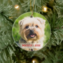 Pesquisar por animais estimação acessórios Gato