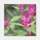 Pesquisar por nature imas Floral