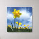 Pesquisar por flores amarelas impressão de canvas Azul