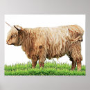 Pesquisar por cow pôsteres pósteres Qualquer pessoa