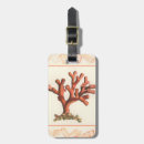 Pesquisar por recife bagagem tags Mar