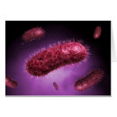 Pesquisar por bactéria cartoes postais Bactéria gram negativa