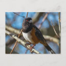 Pesquisar por pontilhado cartoes postais Natureza