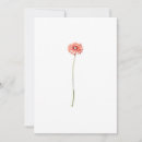 Pesquisar por margarida vermelha gerbera convites Para todos