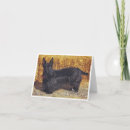Pesquisar por scottish terrier cartoes Cão