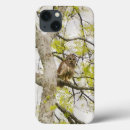 Pesquisar por de telefone da coruja Natureza