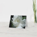 Pesquisar por gardenia cartoes White