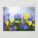 Pesquisar por jubilee cartoes postais Azul