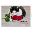 Pesquisar por dia das mães do gato cartoes Feliz aniversário
