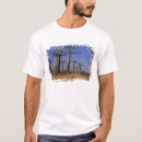Pesquisar por avenida camisetas Adasonia grandidieri