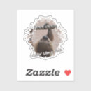 Pesquisar por ultra adesivos Moderno