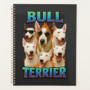 Pesquisar por de bull terrier escritorio escola Cachorros