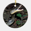 Pesquisar por cobra ornamentos Réptil