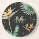 Pesquisar por paraíso porta copos Folhagem