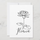 Pesquisar por flor flor lírio convites Lírio de água