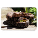 Pesquisar por de cobre imas Foto