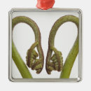 Pesquisar por entalhe ornamentos Ninguém