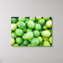 Pesquisar por organic impressão de canvas Fotografia