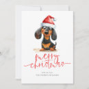 Pesquisar por do dachshund cartoes Cachorro desmamado