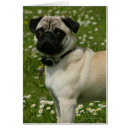 Pesquisar por carlin cartoes postais Foto