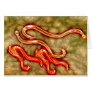 Pesquisar por parasita cartoes postais Trabalho de arte