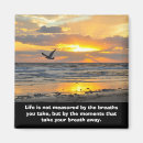 Pesquisar por florida imas Daytona beach