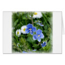 Pesquisar por flores minúsculas cartoes postais Azul